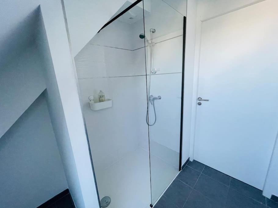 Appartement Lumineux Et Spacieux, Terrasse Et Parking Prive コンカルノー エクステリア 写真